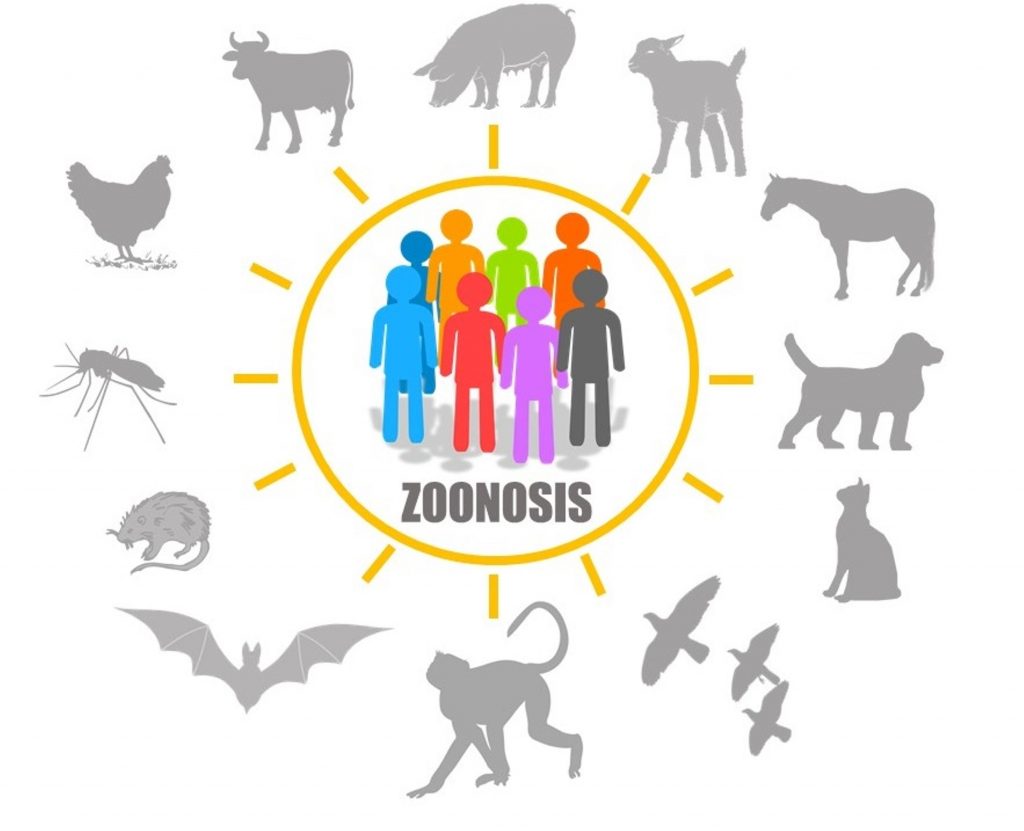 ZOONOSIS - Centro de Comunicación de las Ciencias